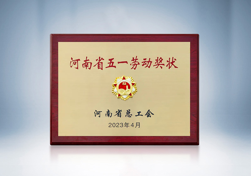 云顶国际官网重工荣获“河南省五一劳动奖状”——河南省五一劳动奖表彰大会