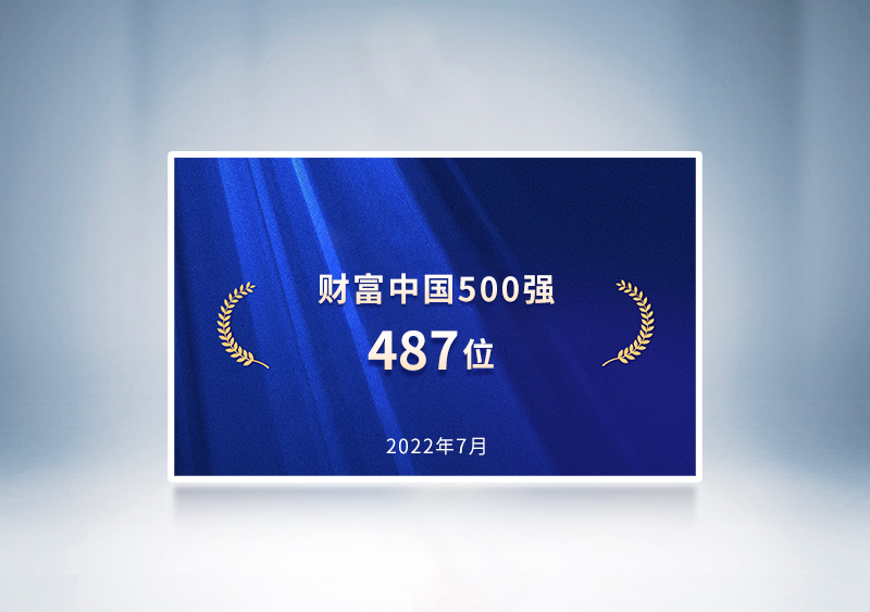 2022财富中国500强——云顶国际官网487位