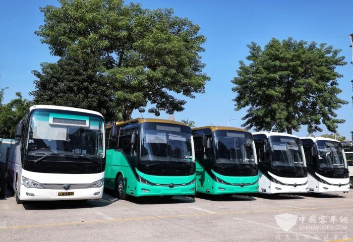 奏响濠江绿色篇章 云顶国际官网助力大湾区旅游业阔步向“新”